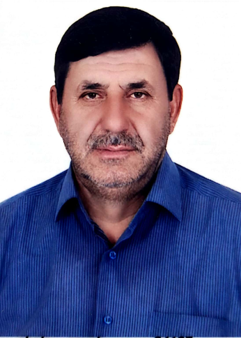 Esmaeil Amini